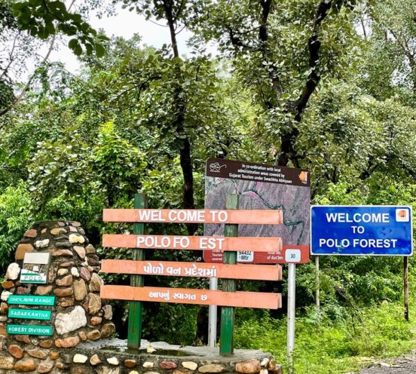 Polo Forest, Guajrat